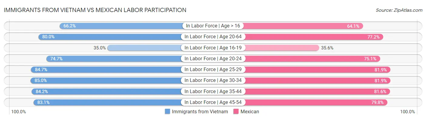 Immigrants from Vietnam vs Mexican Labor Participation
