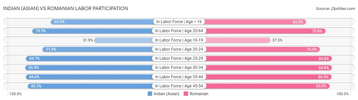 Indian (Asian) vs Romanian Labor Participation