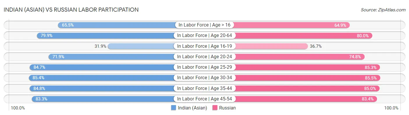 Indian (Asian) vs Russian Labor Participation