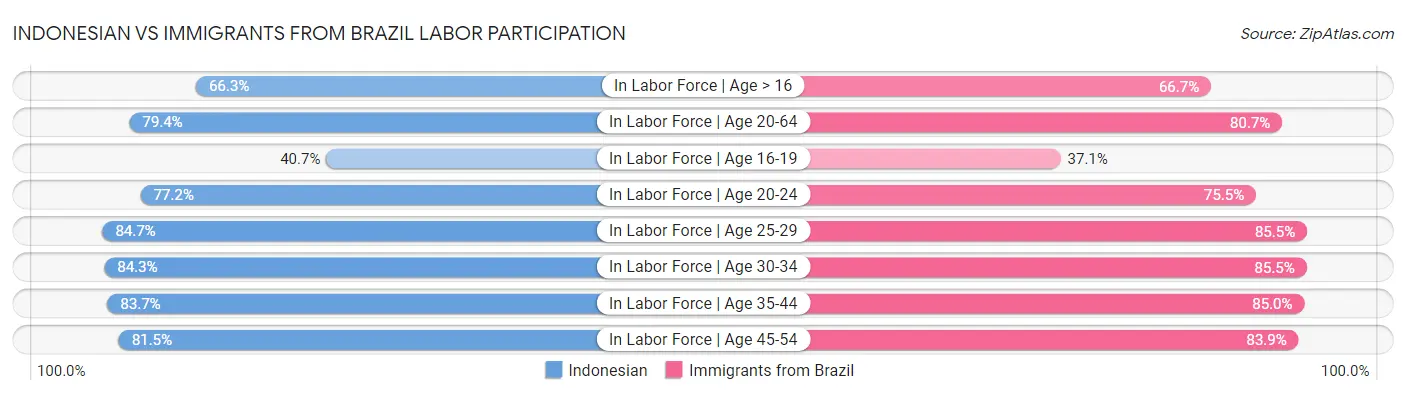 Indonesian vs Immigrants from Brazil Labor Participation