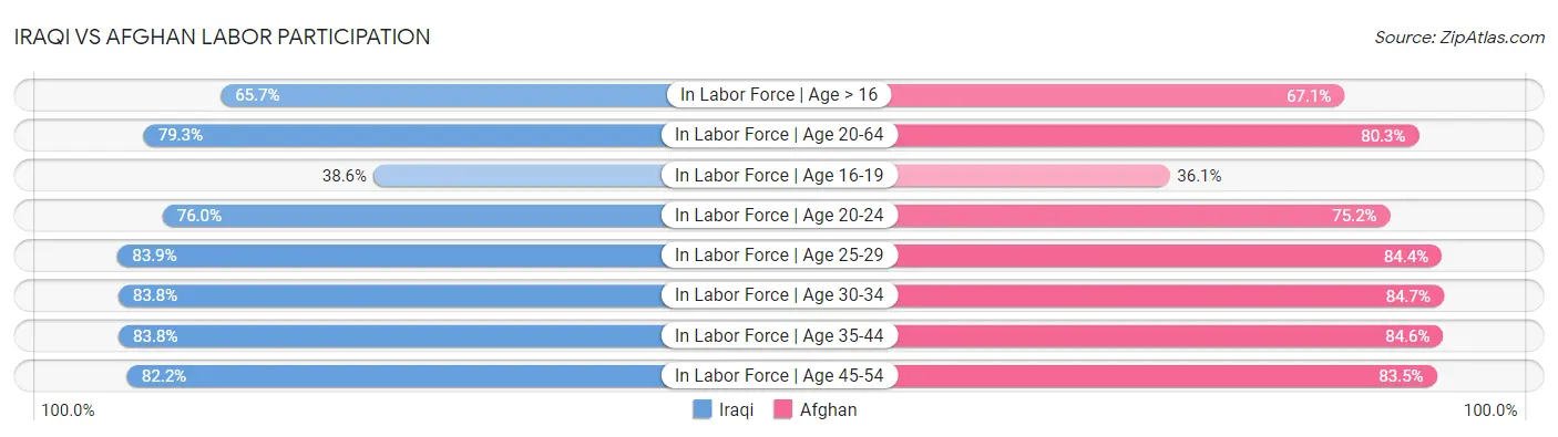 Iraqi vs Afghan Labor Participation