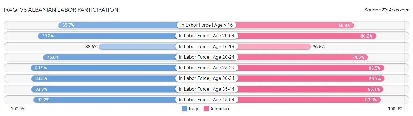 Iraqi vs Albanian Labor Participation