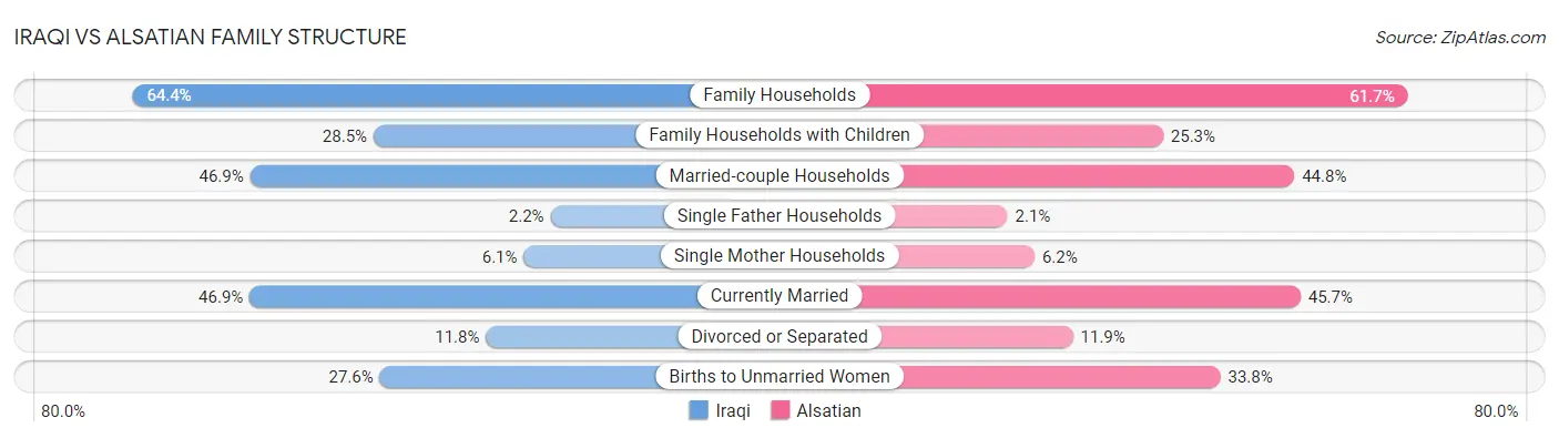 Iraqi vs Alsatian Family Structure