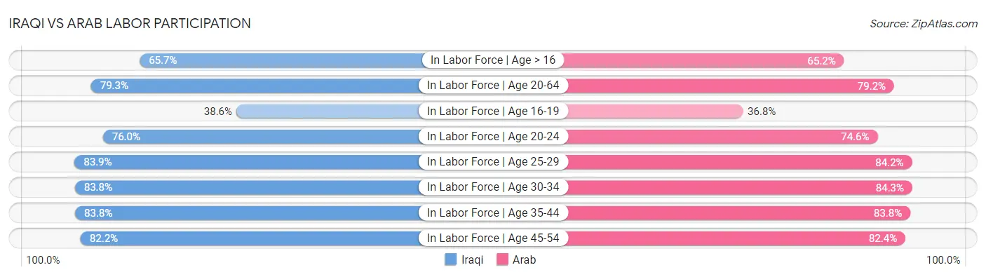 Iraqi vs Arab Labor Participation