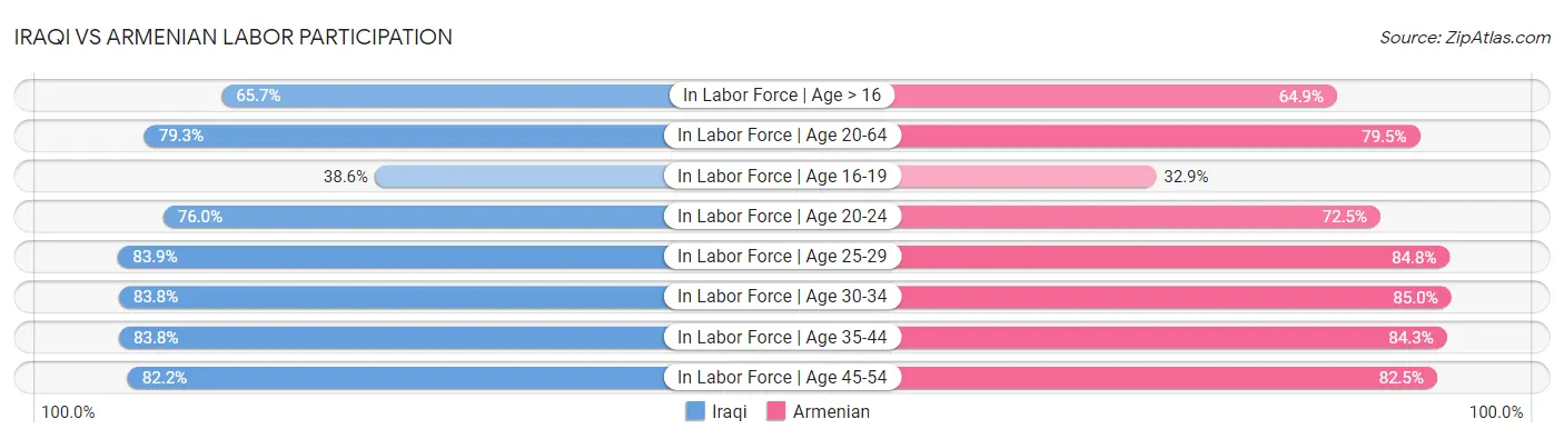 Iraqi vs Armenian Labor Participation