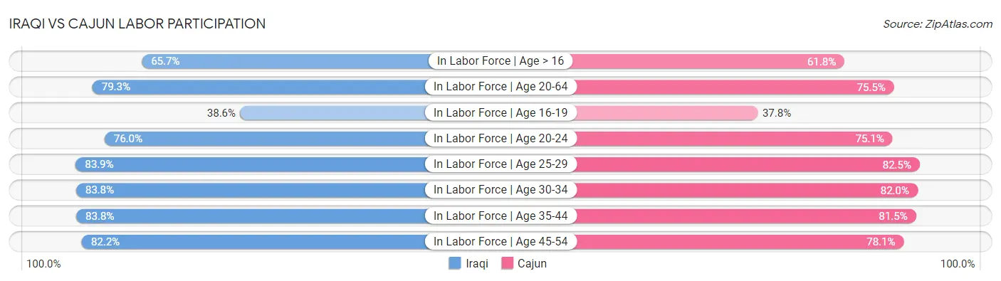 Iraqi vs Cajun Labor Participation