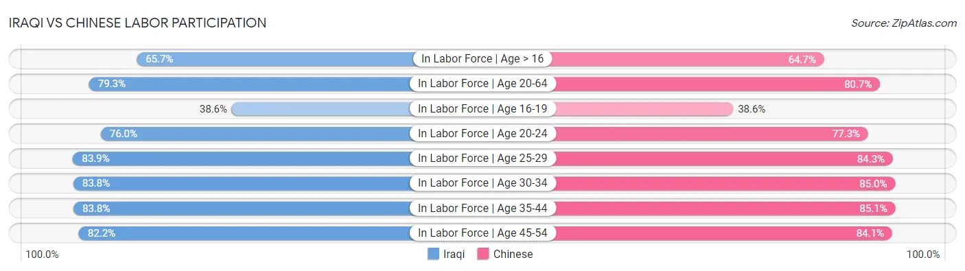Iraqi vs Chinese Labor Participation
