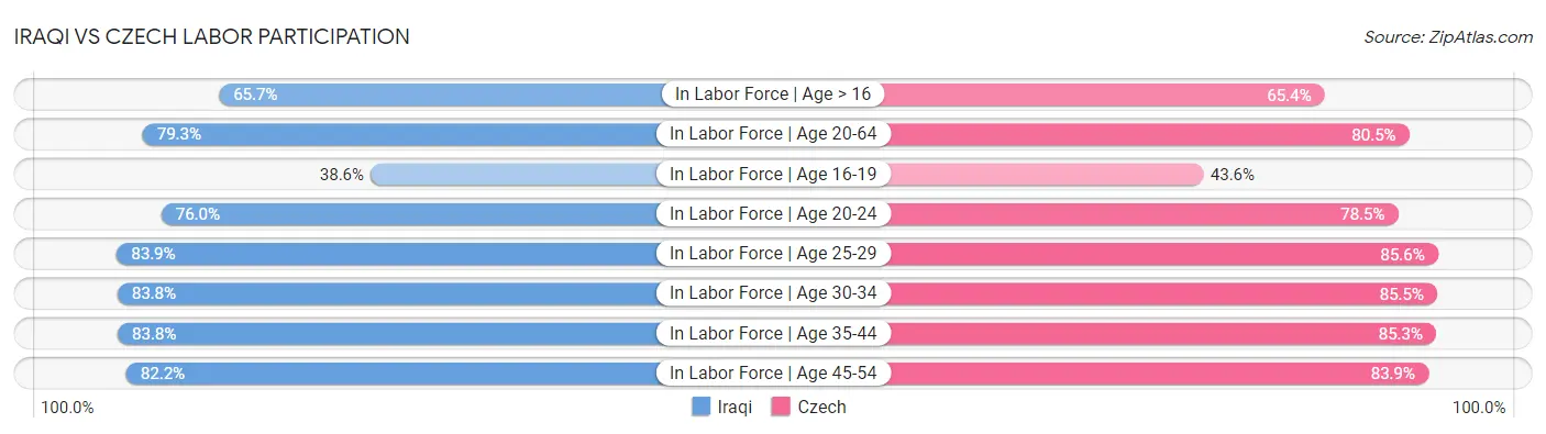 Iraqi vs Czech Labor Participation