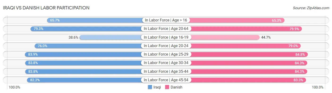 Iraqi vs Danish Labor Participation