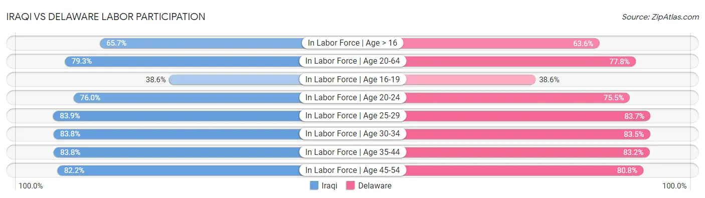 Iraqi vs Delaware Labor Participation