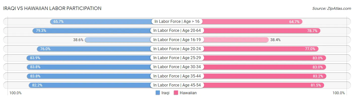 Iraqi vs Hawaiian Labor Participation