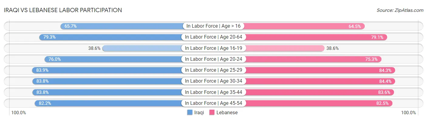 Iraqi vs Lebanese Labor Participation
