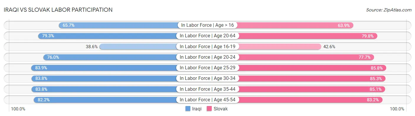 Iraqi vs Slovak Labor Participation