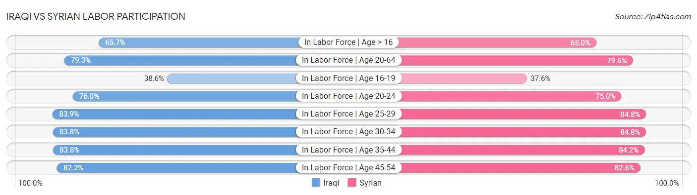 Iraqi vs Syrian Labor Participation