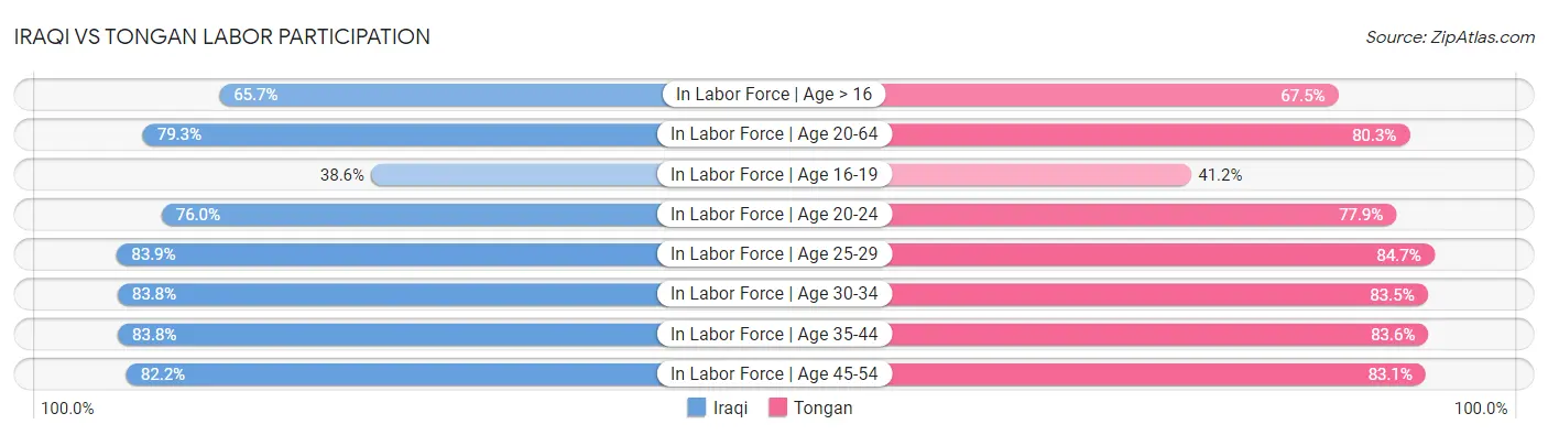 Iraqi vs Tongan Labor Participation