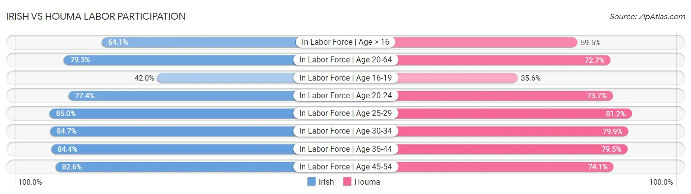 Irish vs Houma Labor Participation