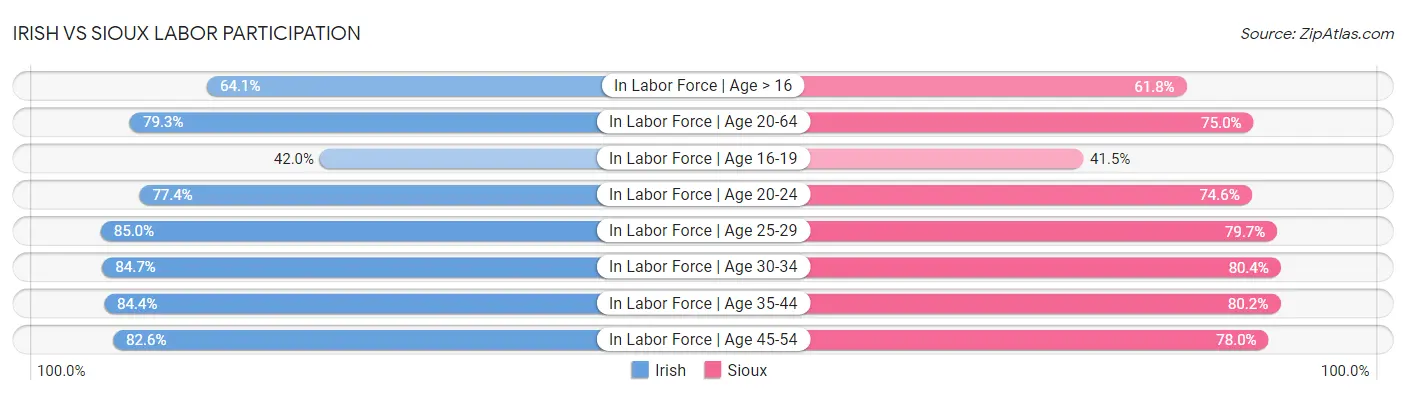 Irish vs Sioux Labor Participation