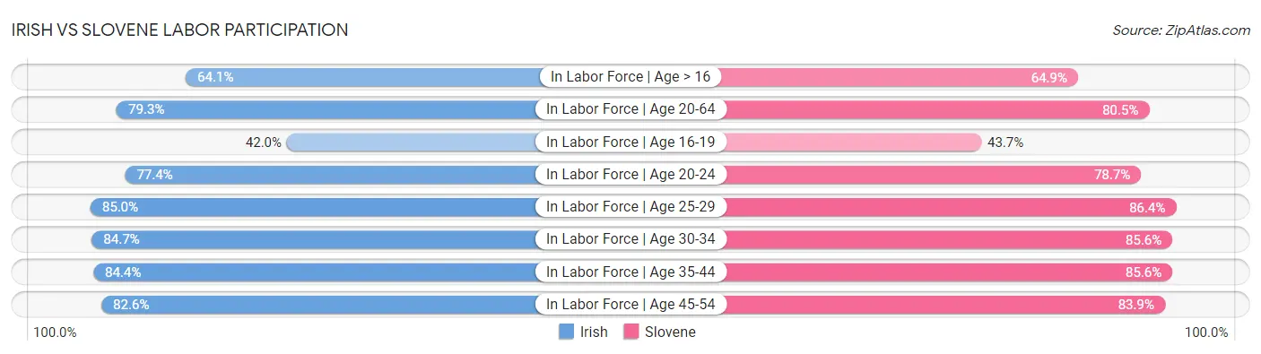 Irish vs Slovene Labor Participation