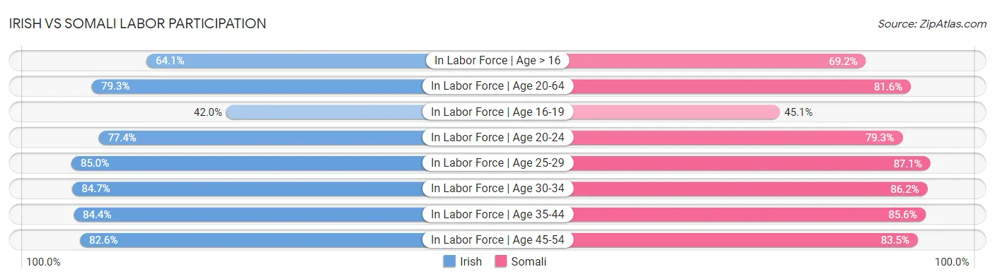Irish vs Somali Labor Participation