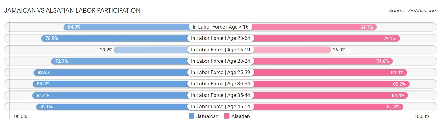 Jamaican vs Alsatian Labor Participation