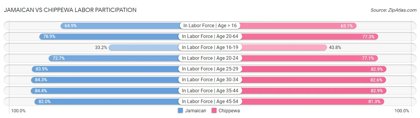 Jamaican vs Chippewa Labor Participation
