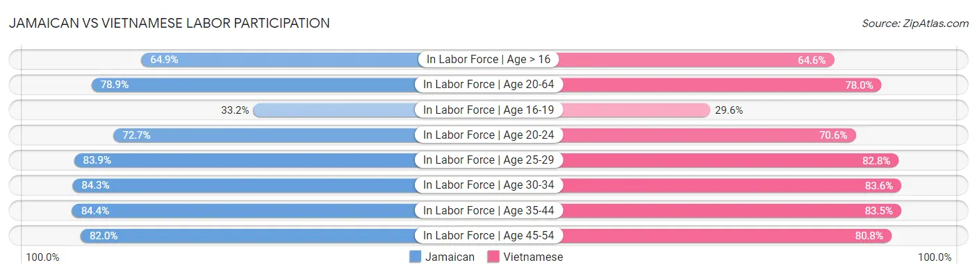 Jamaican vs Vietnamese Labor Participation