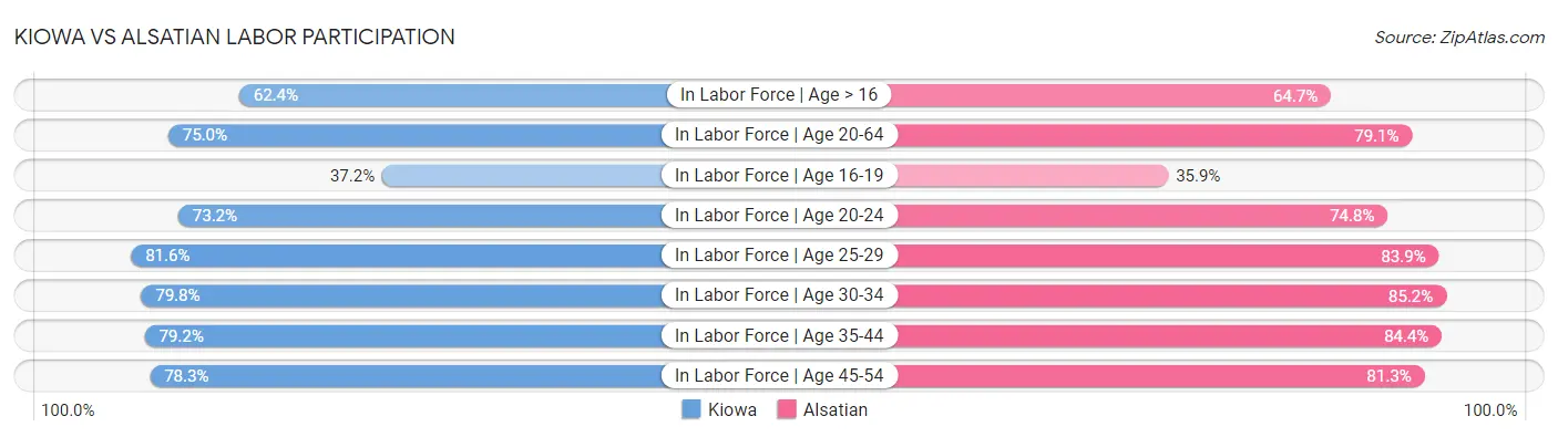 Kiowa vs Alsatian Labor Participation