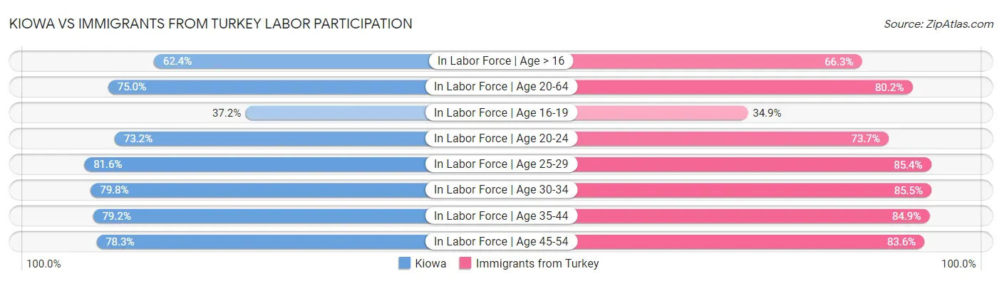 Kiowa vs Immigrants from Turkey Labor Participation