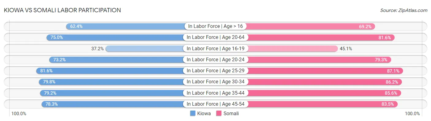 Kiowa vs Somali Labor Participation