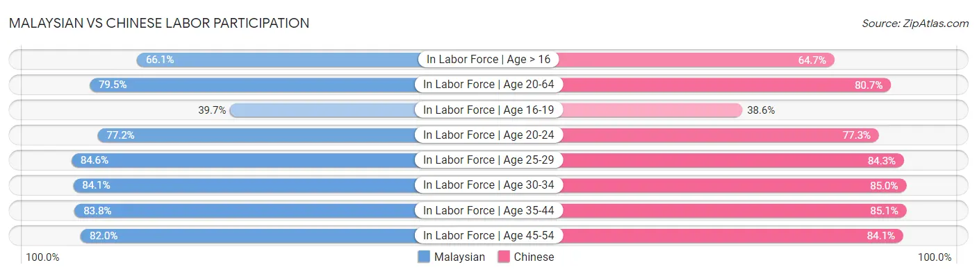 Malaysian vs Chinese Labor Participation