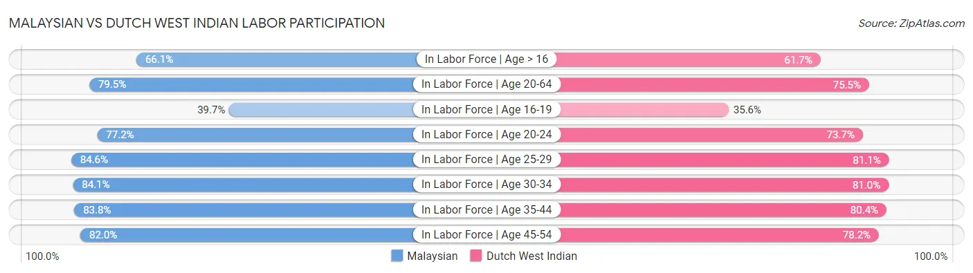 Malaysian vs Dutch West Indian Labor Participation