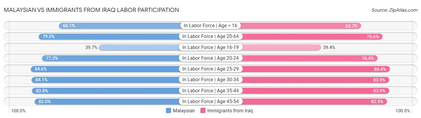 Malaysian vs Immigrants from Iraq Labor Participation
