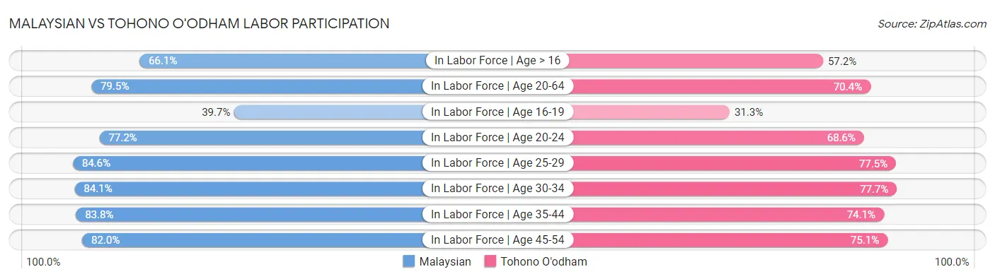 Malaysian vs Tohono O'odham Labor Participation