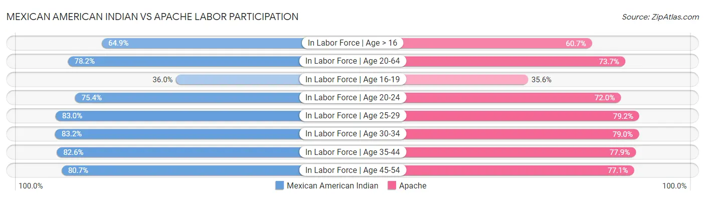 Mexican American Indian vs Apache Labor Participation