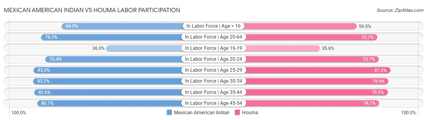 Mexican American Indian vs Houma Labor Participation