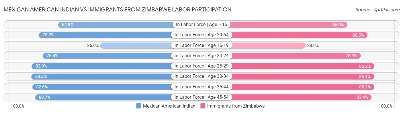 Mexican American Indian vs Immigrants from Zimbabwe Labor Participation