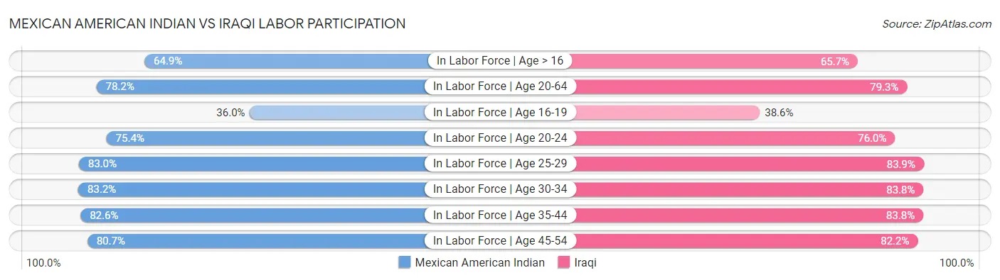 Mexican American Indian vs Iraqi Labor Participation