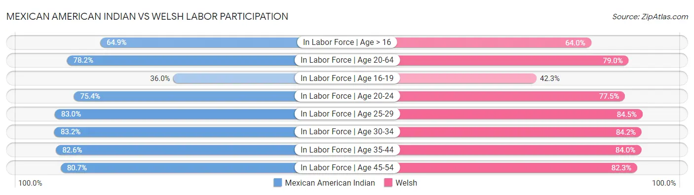 Mexican American Indian vs Welsh Labor Participation