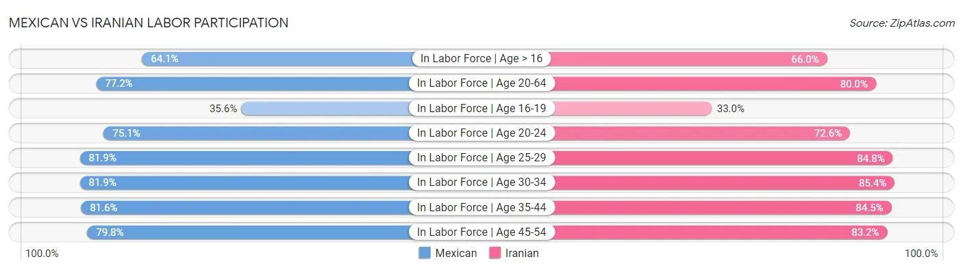 Mexican vs Iranian Labor Participation
