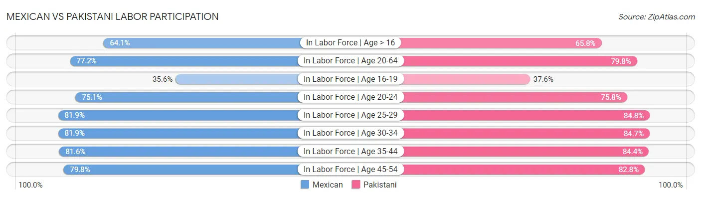 Mexican vs Pakistani Labor Participation