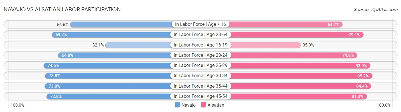 Navajo vs Alsatian Labor Participation