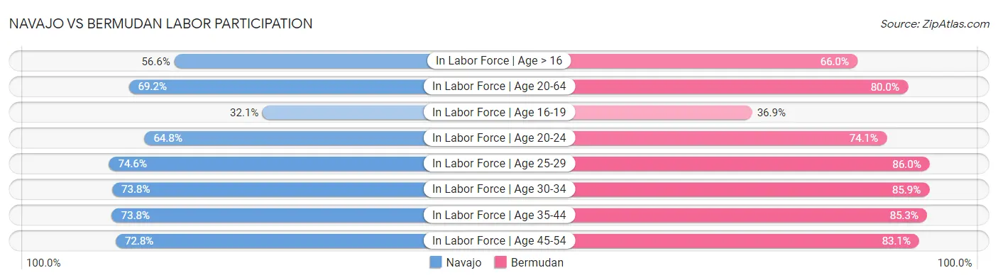 Navajo vs Bermudan Labor Participation