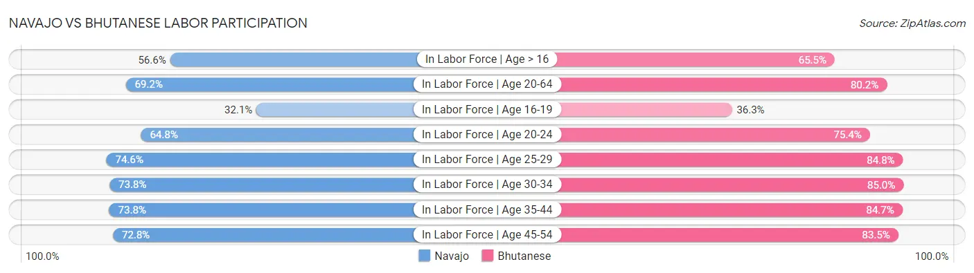 Navajo vs Bhutanese Labor Participation