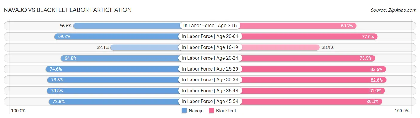 Navajo vs Blackfeet Labor Participation