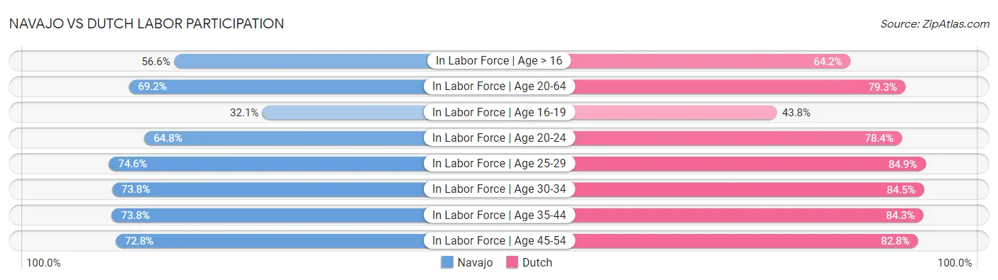 Navajo vs Dutch Labor Participation