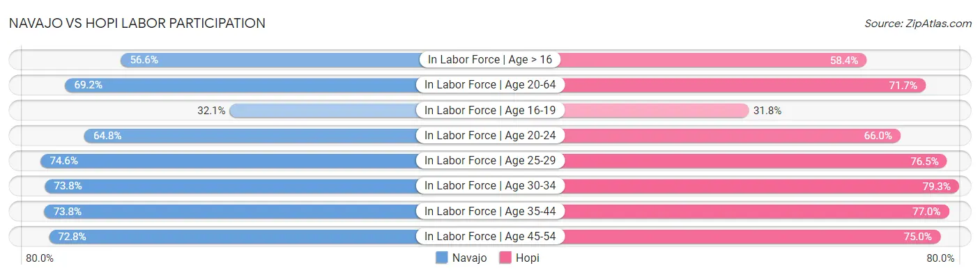 Navajo vs Hopi Labor Participation