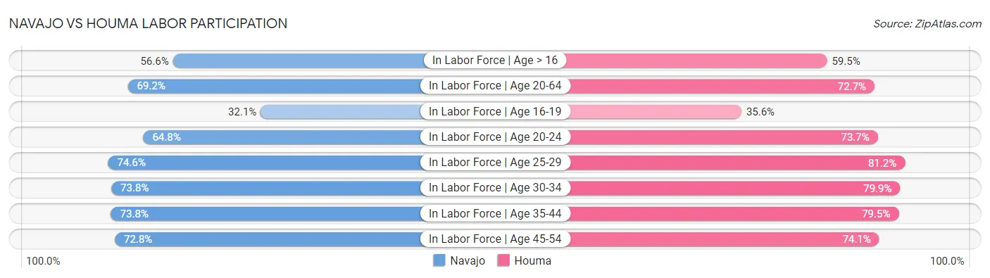 Navajo vs Houma Labor Participation