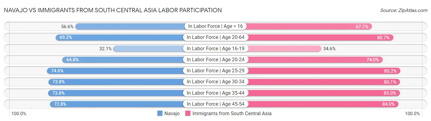 Navajo vs Immigrants from South Central Asia Labor Participation