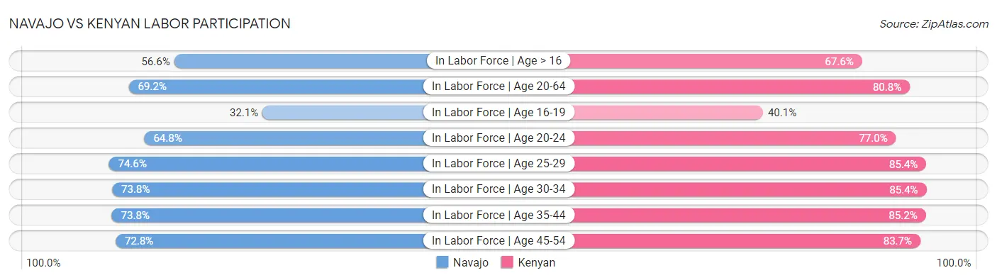 Navajo vs Kenyan Labor Participation