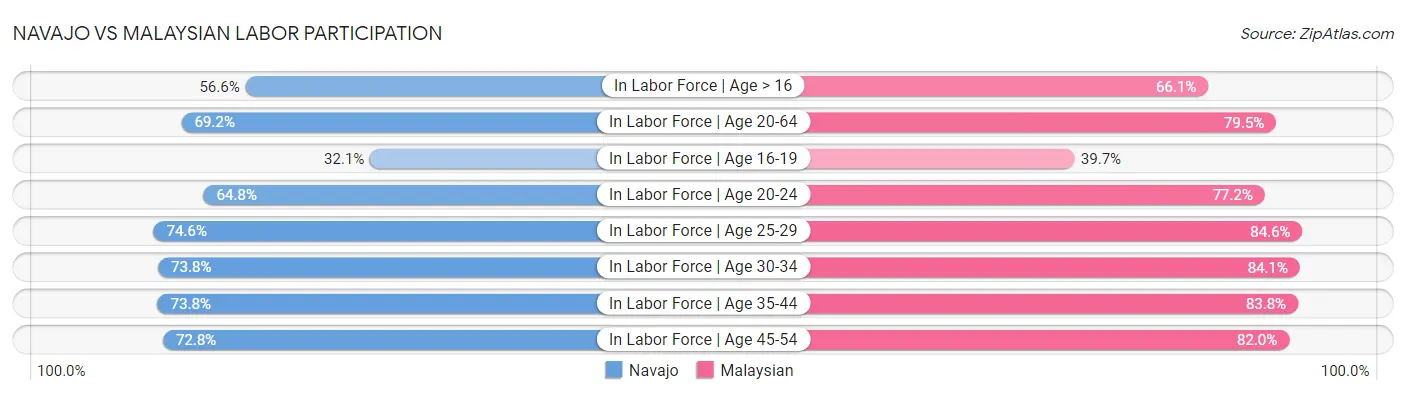 Navajo vs Malaysian Labor Participation